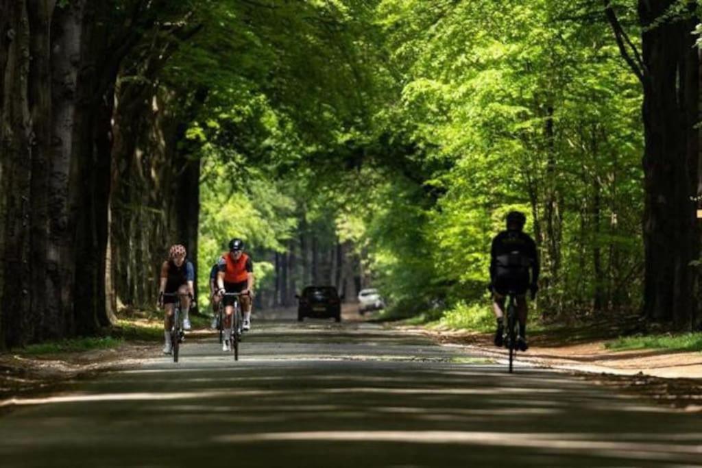 Chalet Voorzien Van Alle Gemakken In Een Bosrijke Omgeving Voorthuizen Esterno foto